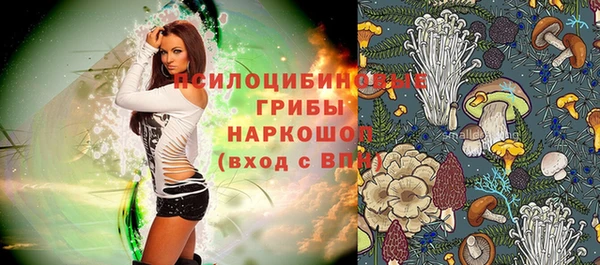 МДМА Алексеевка