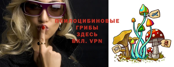 стаф Абдулино