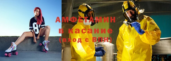 прущие грибы Абаза