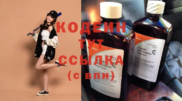 прущие грибы Абаза