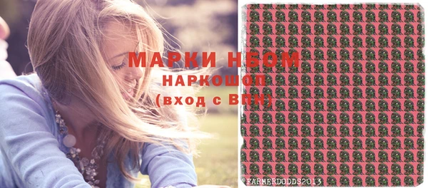 прущие грибы Абаза