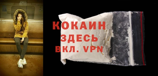 прущие грибы Абаза