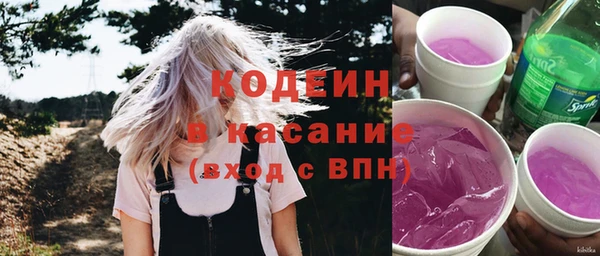 прущие грибы Абаза
