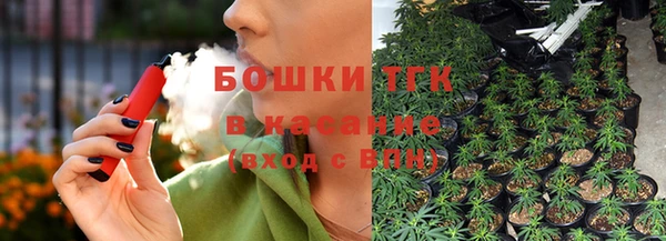 прущие грибы Абаза
