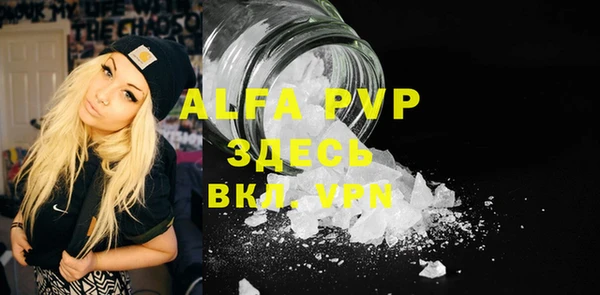 прущие грибы Абаза