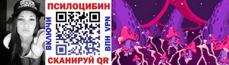 купить цена Новопавловск Галлюциногенные грибы Magic Shrooms